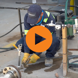 BW-Newsletter-2019-12-Video-Supporting-button